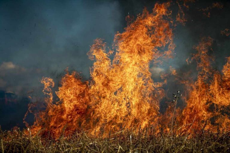 incendi Boschi