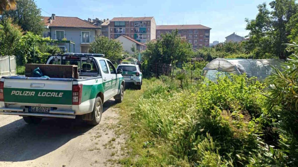 MONCALIERI – Recuperata negli orti urbani una femmina di capriolo 3