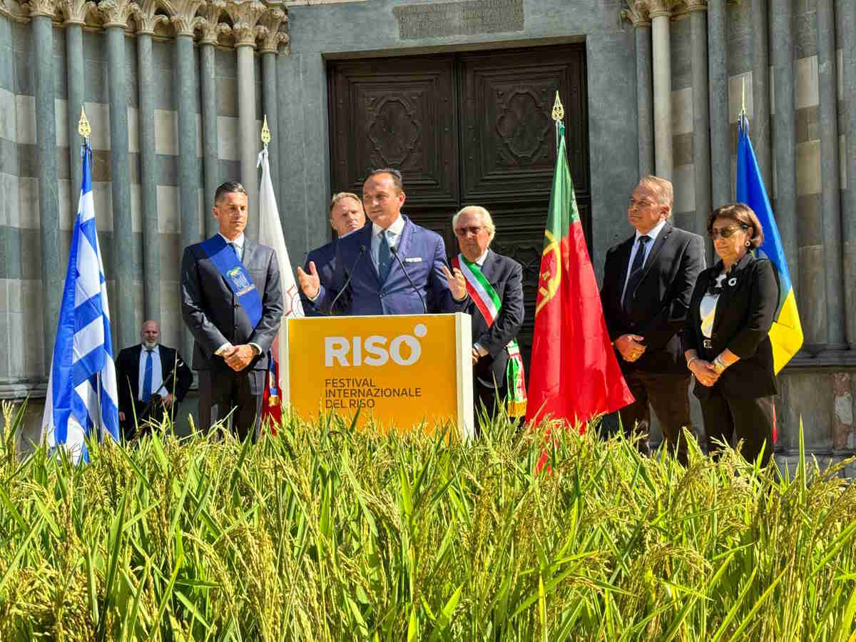 vercelli risò piemonte