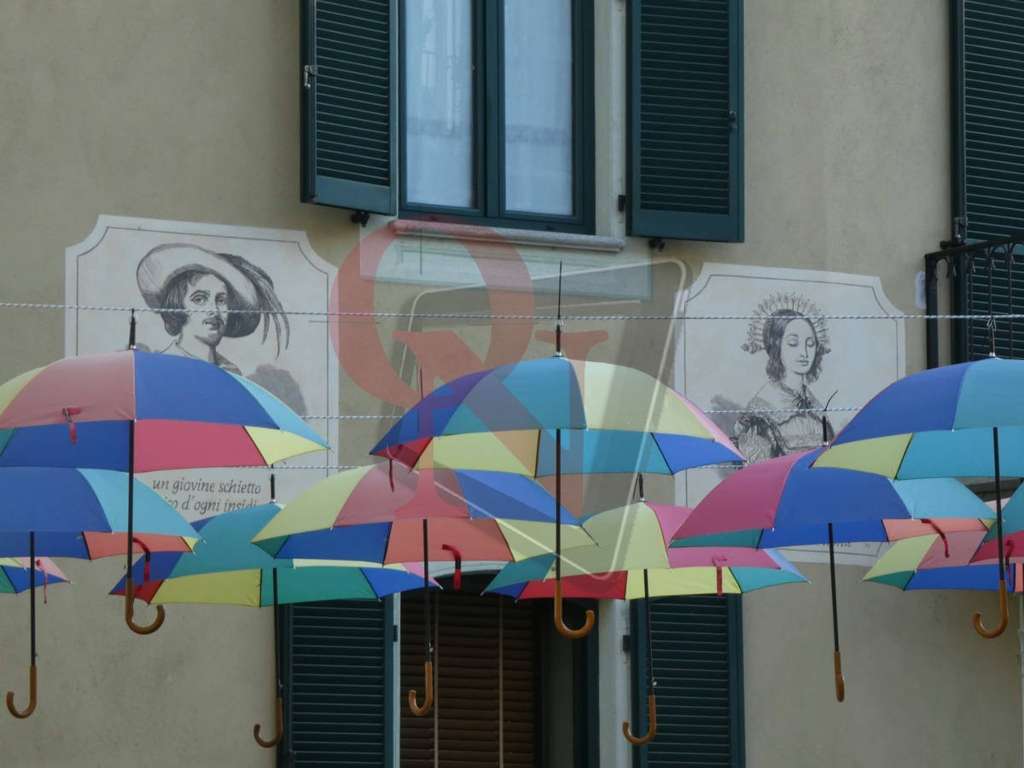 giaveno fungo