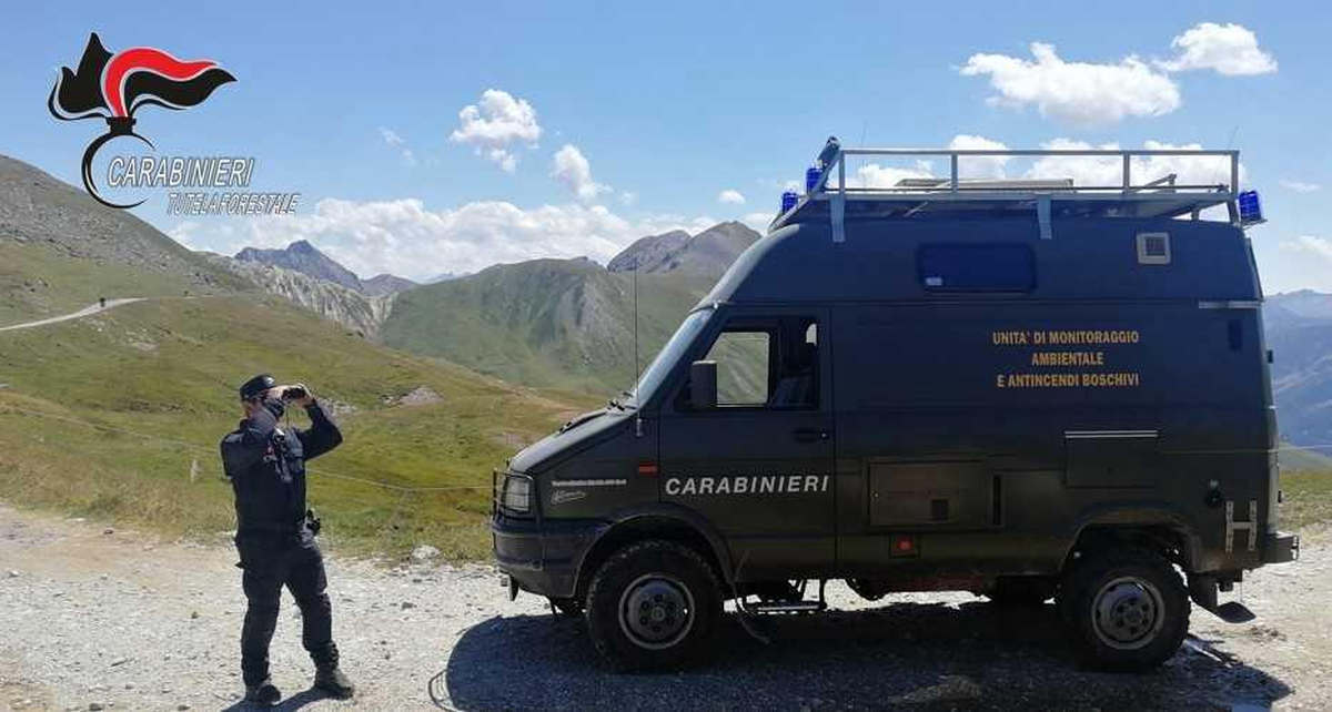 mompantero controllo cc
